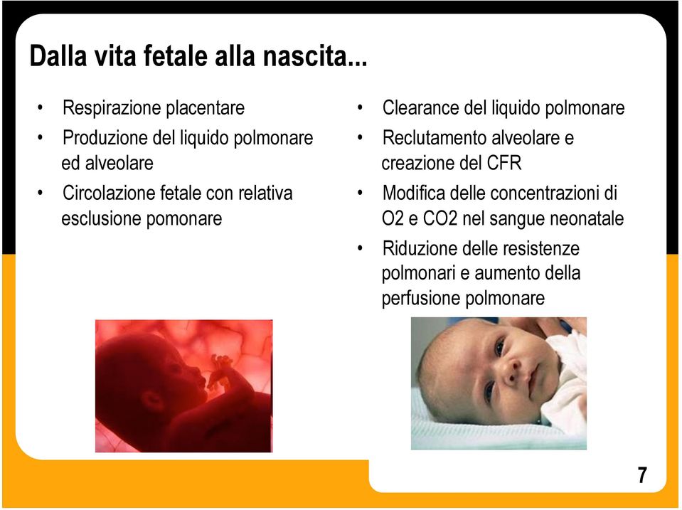 con relativa esclusione pomonare Clearance del liquido polmonare Reclutamento alveolare e