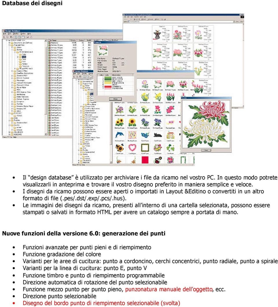 I disegni da ricamo possono essere aperti o importati in Layout &Editino o convertiti in un altro formato di file (.pes/.dst/.exp/.pcs/.hus).