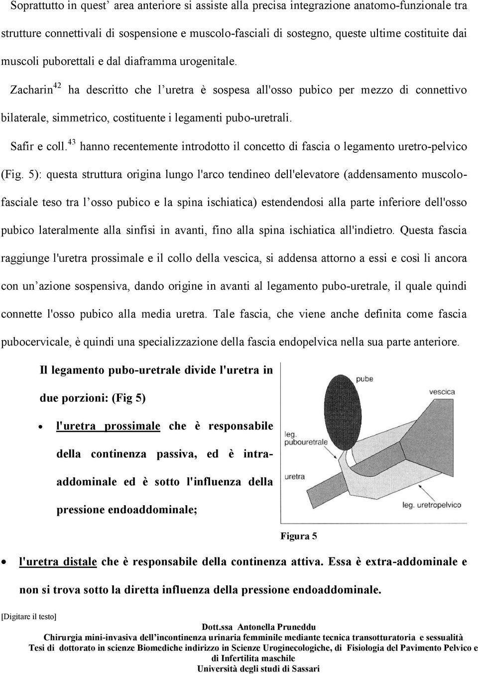 Safir e coll. 43 hanno recentemente introdotto il concetto di fascia o legamento uretro-pelvico (Fig.