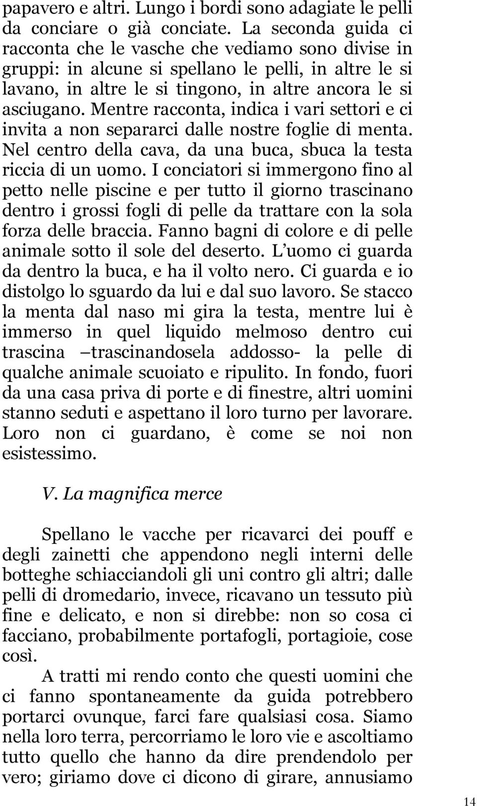 Mentre racconta, indica i vari settori e ci invita a non separarci dalle nostre foglie di menta. Nel centro della cava, da una buca, sbuca la testa riccia di un uomo.