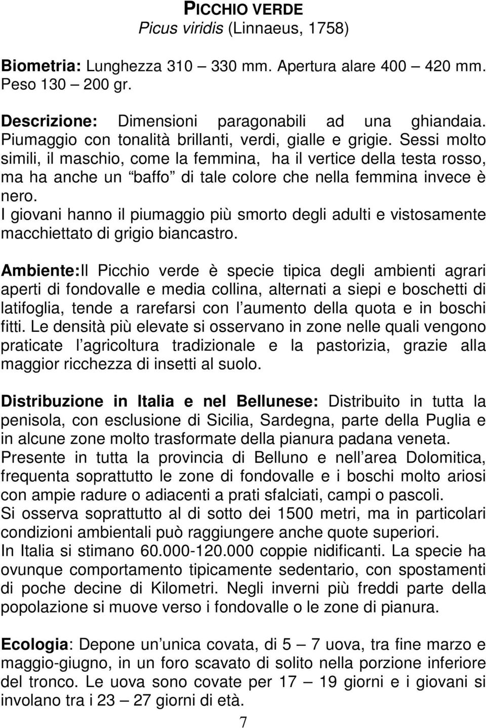 Sessi molto simili, il maschio, come la femmina, ha il vertice della testa rosso, ma ha anche un baffo di tale colore che nella femmina invece è nero.