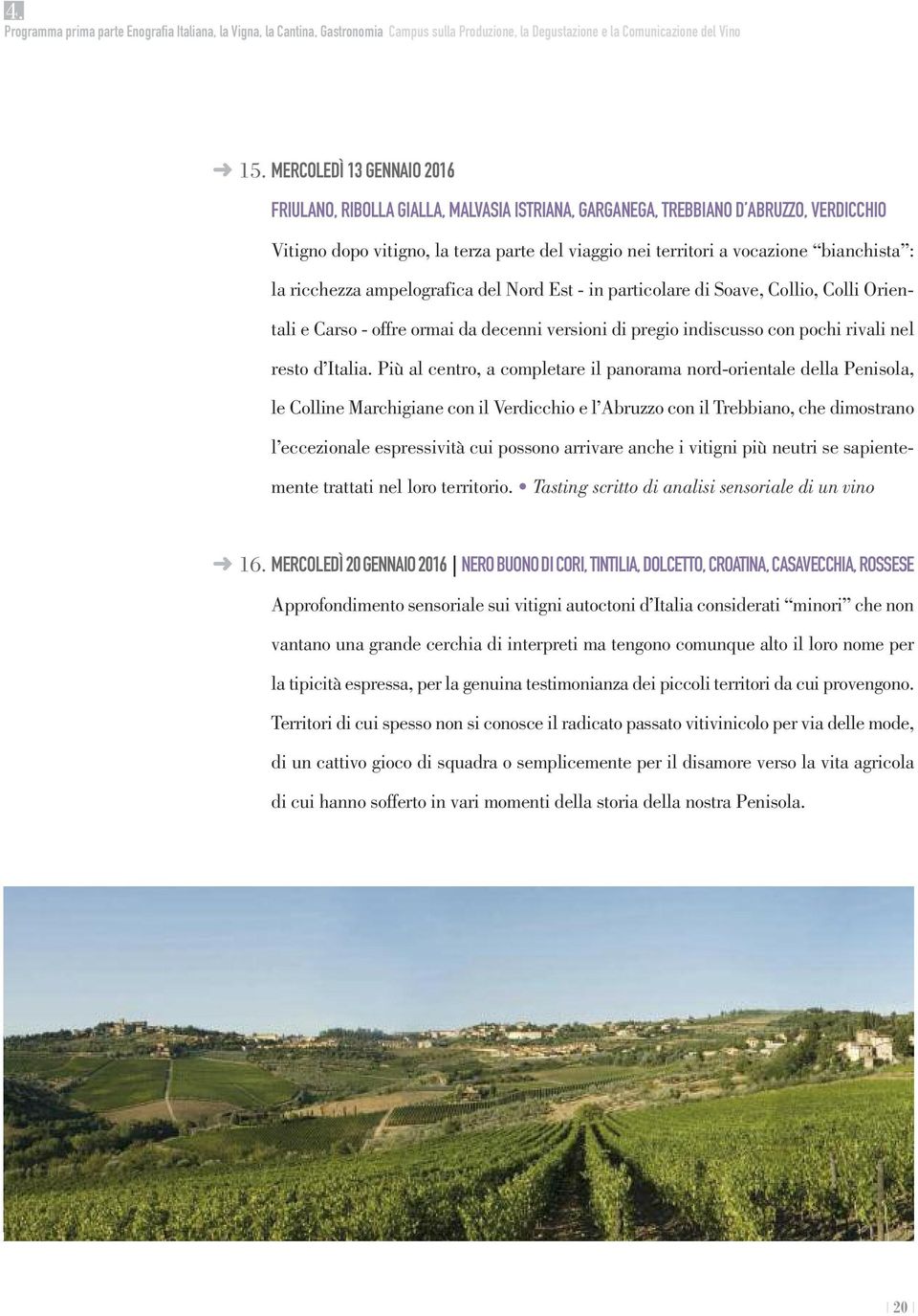 : la ricchezza ampelografica del Nord Est - in particolare di Soave, Collio, Colli Orientali e Carso - offre ormai da decenni versioni di pregio indiscusso con pochi rivali nel resto d Italia.