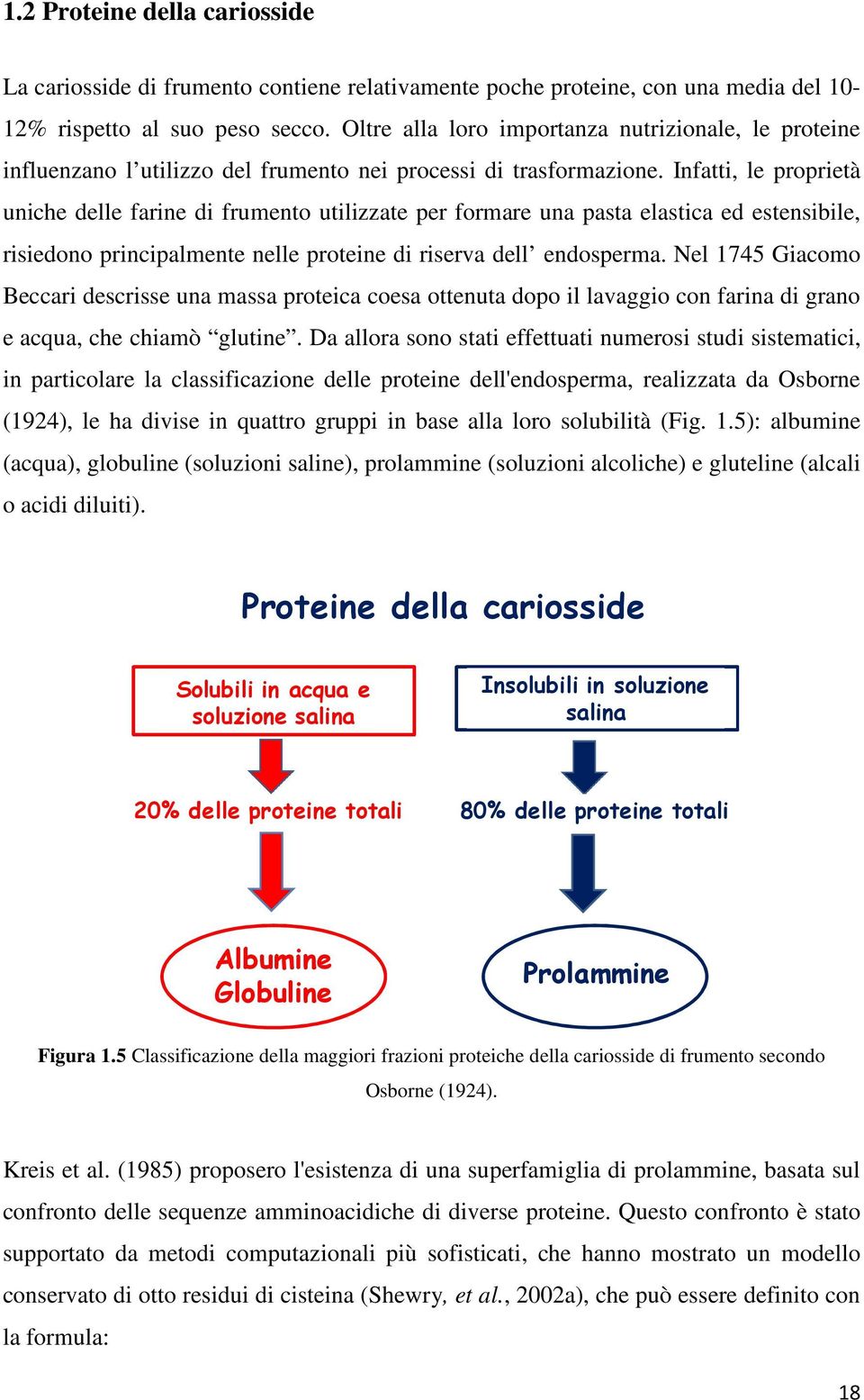 Infatti, le proprietà uniche delle farine di frumento utilizzate per formare una pasta elastica ed estensibile, risiedono principalmente nelle proteine di riserva dell endosperma.