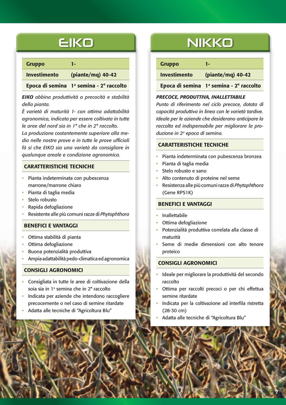 La produzione costantemente superiore alla media nelle nostre prove e in tutte le prove ufficiali fà si che EIKO sia una varietà da consigliare in qualunque areale e condizione agronomica.