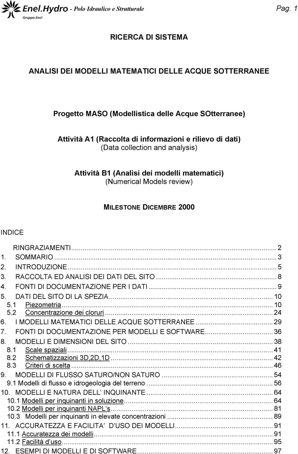 collection and analysis) Attività B1 (Analisi dei modelli matematici) (Numerical Models review) MILESTONE DICEMBRE 2000 INDICE RINGRAZIAMENTI... 2 1. SOMMARIO...3 2. INTRODUZIONE... 5 3.