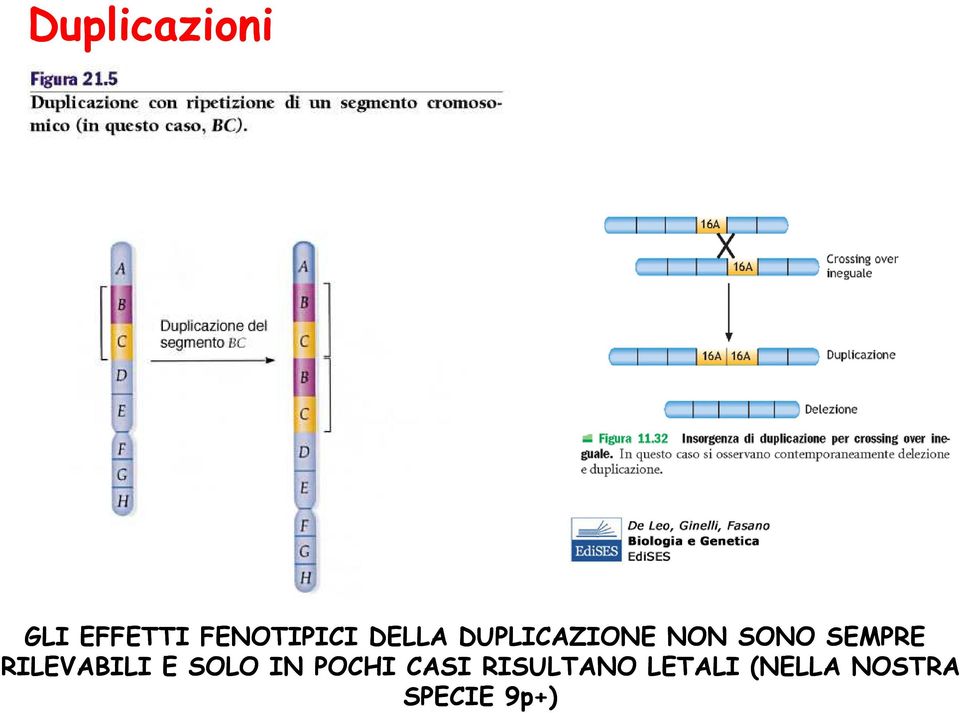 RILEVABILI E SOLO IN POCHI CASI