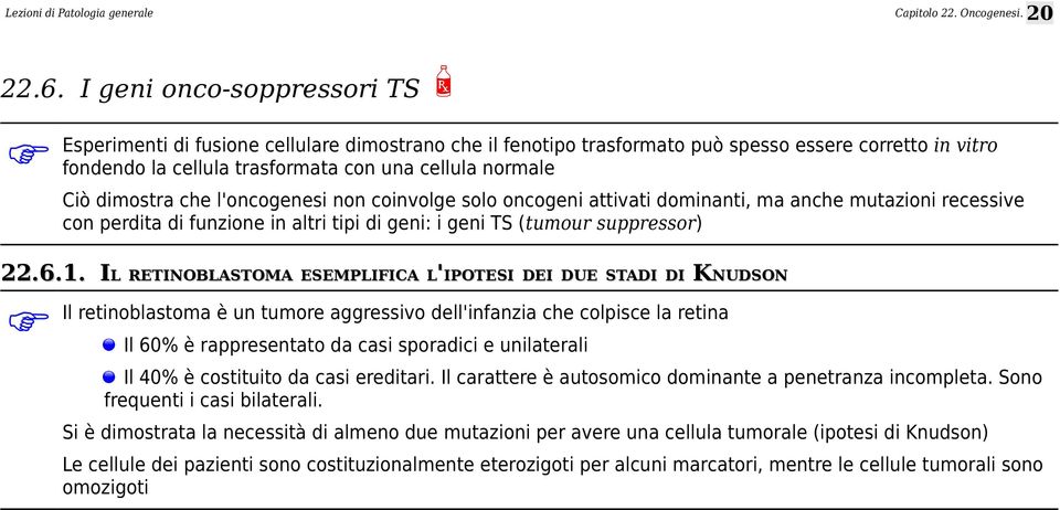 dimostra che l'oncogenesi non coinvolge solo oncogeni attivati dominanti, ma anche mutazioni recessive con perdita di funzione in altri tipi di geni: i geni TS (tumour suppressor) 22.6.1.