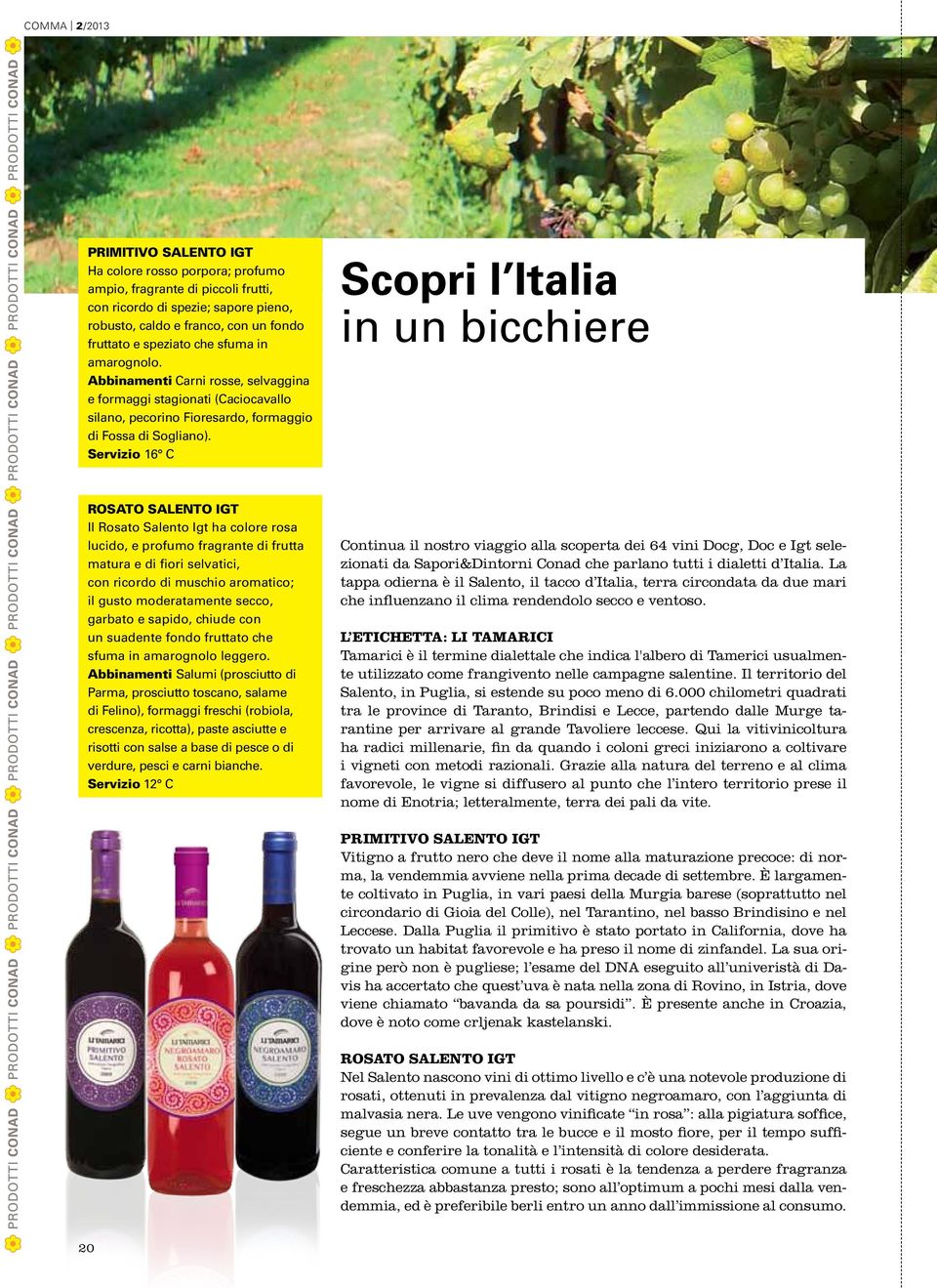 Servizio 16 C Scopri l Italia in un bicchiere ROSATO SALENTO IGT Il Rosato Salento Igt ha colore rosa lucido, e profumo fragrante di frutta matura e di fiori selvatici, con ricordo di muschio