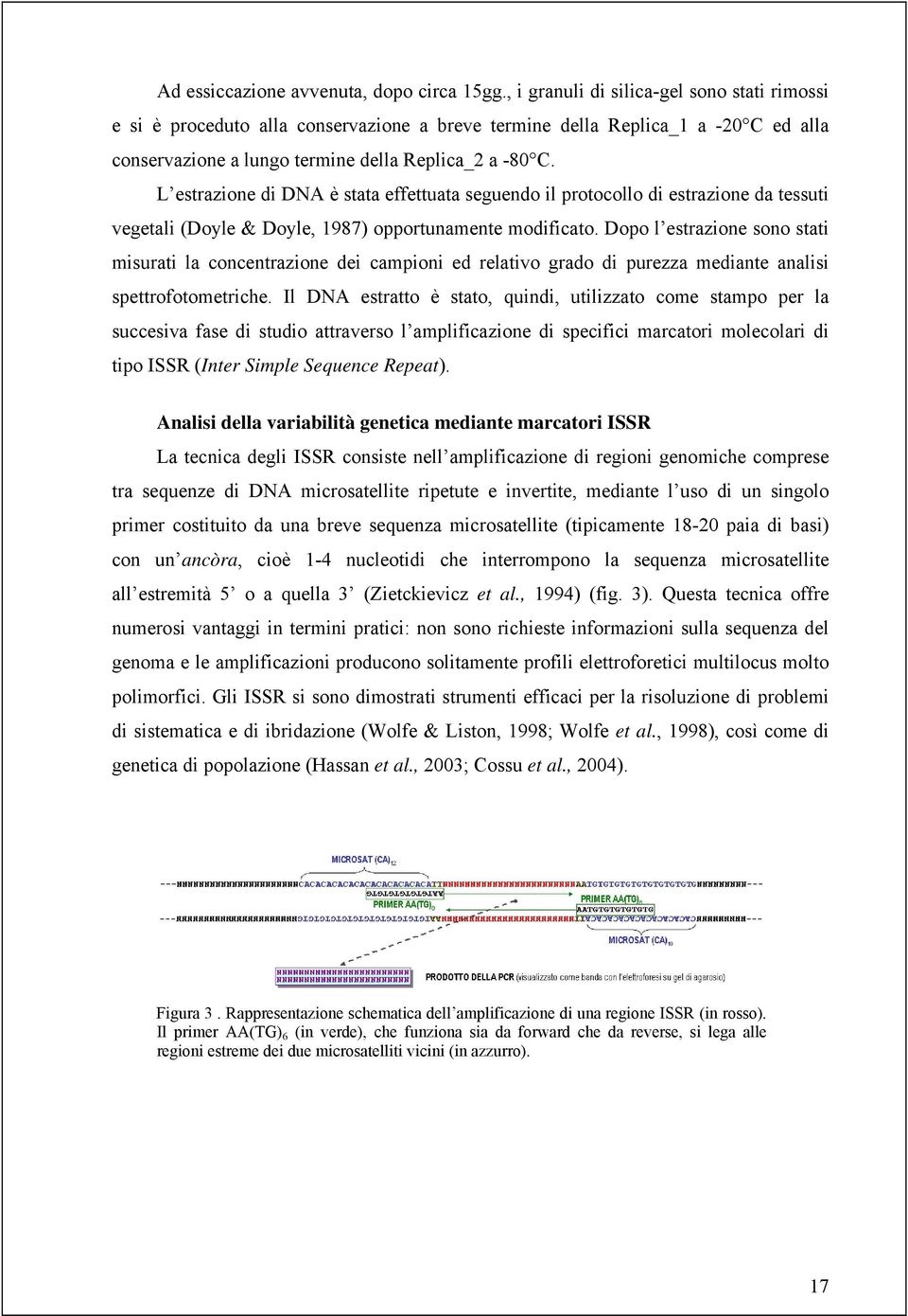 L estrazione di DNA è stata effettuata seguendo il protocollo di estrazione da tessuti vegetali (Doyle & Doyle, 1987) opportunamente modificato.