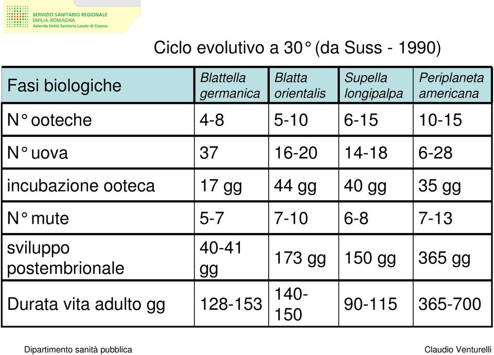 37 16-20 14-18 6-28 incubazione ooteca 17 gg 44 gg 40 gg 35 gg N mute 5-7 7-10 6-8 7-13