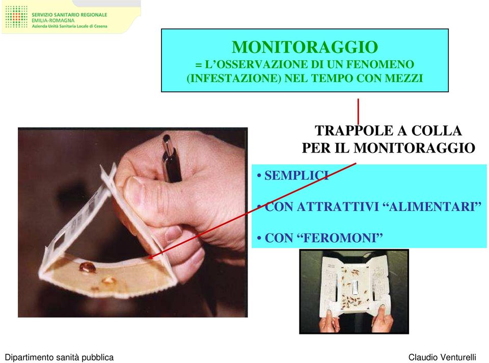 MEZZI SEMPLICI TRAPPOLE A COLLA PER IL