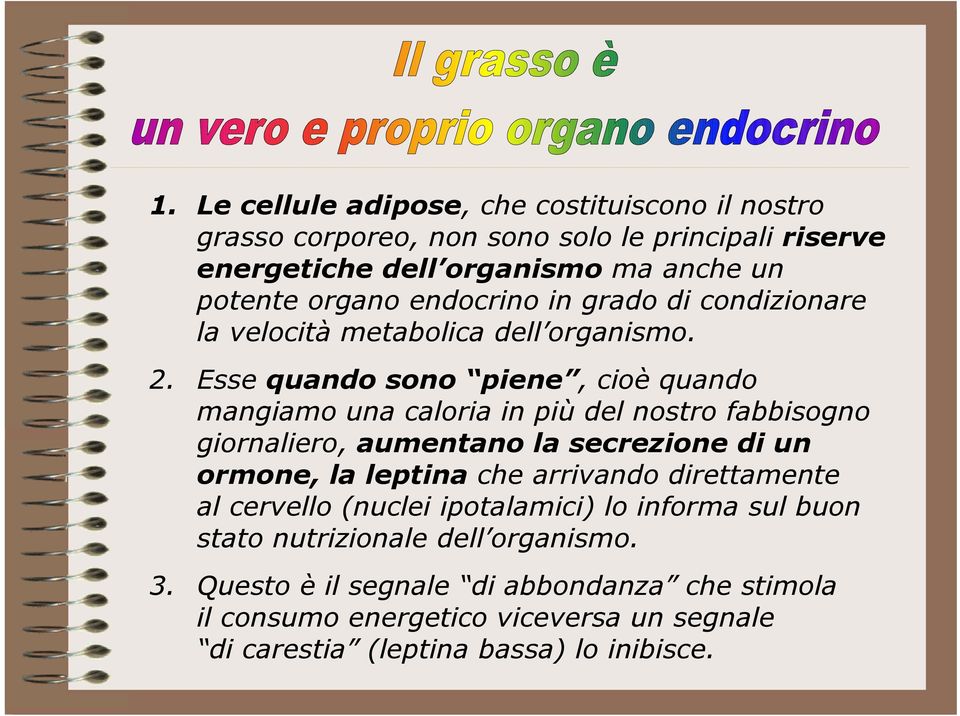 Esse quando sono piene, cioè quando mangiamo una caloria in più del nostro fabbisogno giornaliero, aumentano la secrezione di un ormone, la leptina che