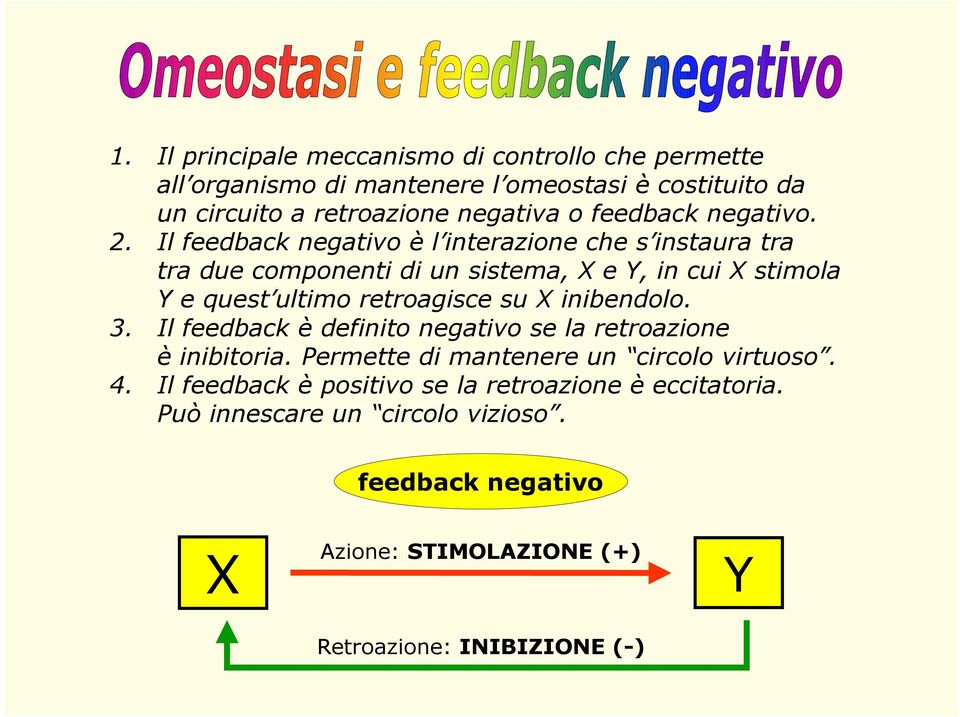 Il feedback negativo è l interazione che s instaura tra tra due componenti di un sistema, X e Y, in cui X stimola Y e quest ultimo retroagisce su X