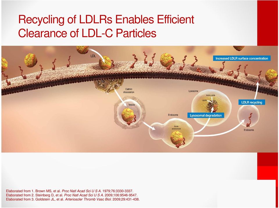 Elaborated from 2. Steinberg D, et al. Proc Natl Acad Sci U S A.