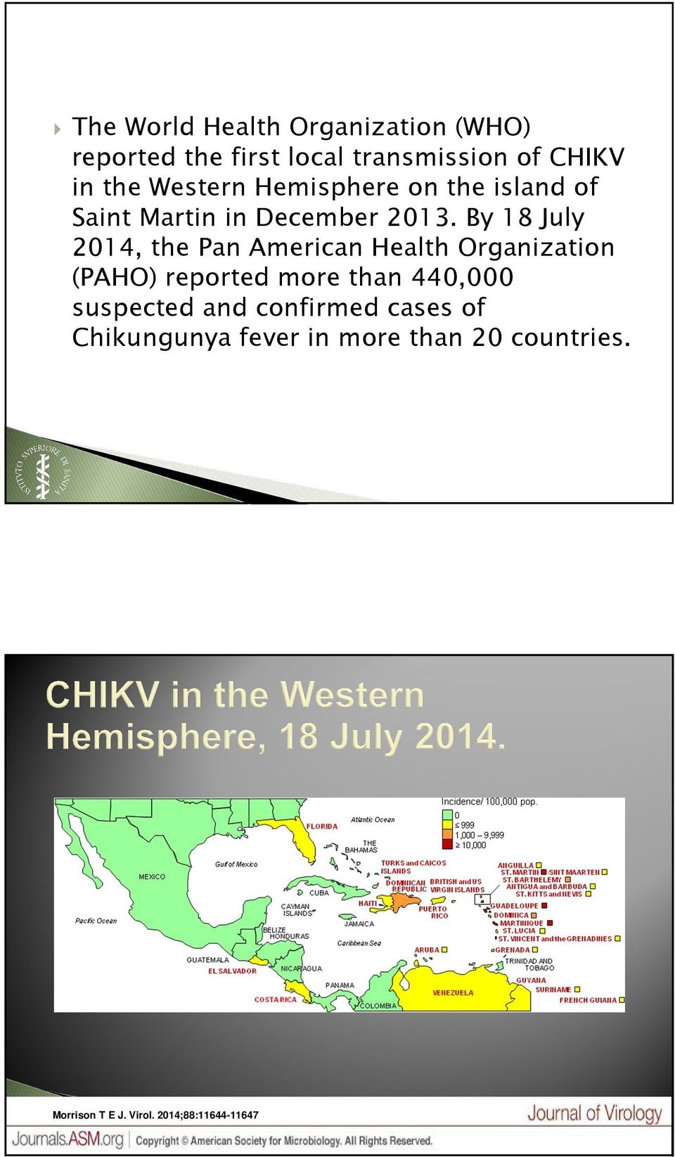 By 18 July 2014, the Pan American Health Organization (PAHO) reported more than 440,000