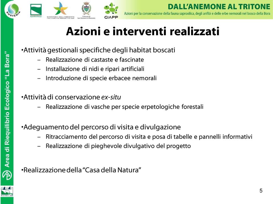 Realizzazione di vasche per specie erpetologiche forestali Adeguamento del percorso di visita e divulgazione Ritracciamento del