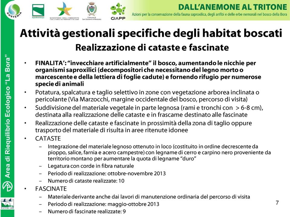 vegetazione arborea inclinata o pericolante (Via Marzocchi, margine occidentale del bosco, percorso di visita) Suddivisione del materiale vegetale in parte legnosa (rami e tronchi con > 6-8 cm),