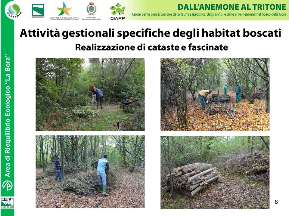 habitat boscati