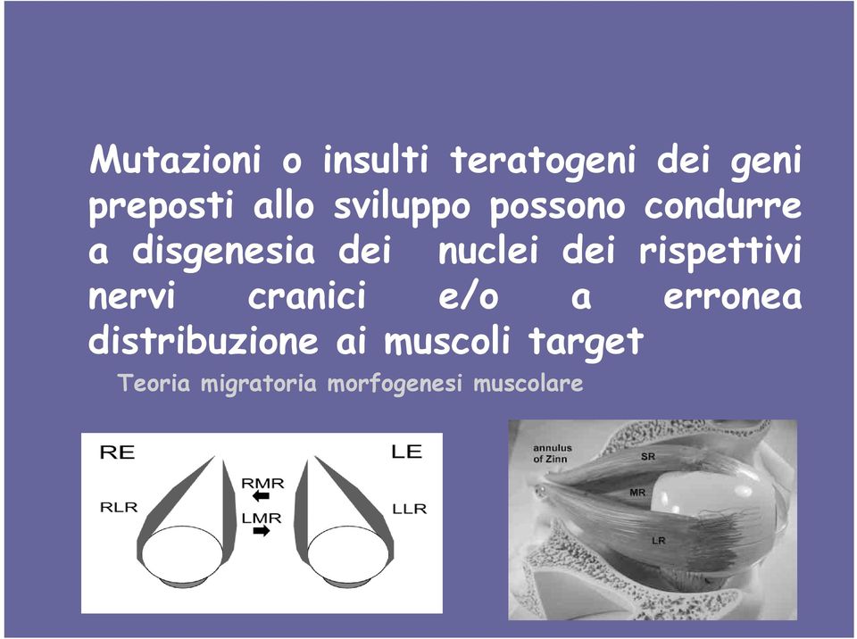 rispettivi nervi cranici e/o a erronea distribuzione