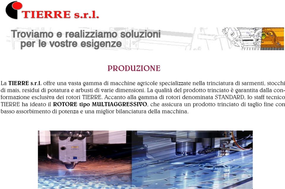 arbusti di varie dimensioni. La qualità del prodotto trinciato è garantita dalla conformazione esclusiva dei rotori TIERRE.