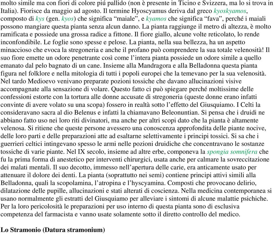 La pianta raggiunge il metro di altezza, è molto ramificata e possiede una grossa radice a fittone. Il fiore giallo, alcune volte reticolato, lo rende inconfondibile. Le foglie sono spesse e pelose.