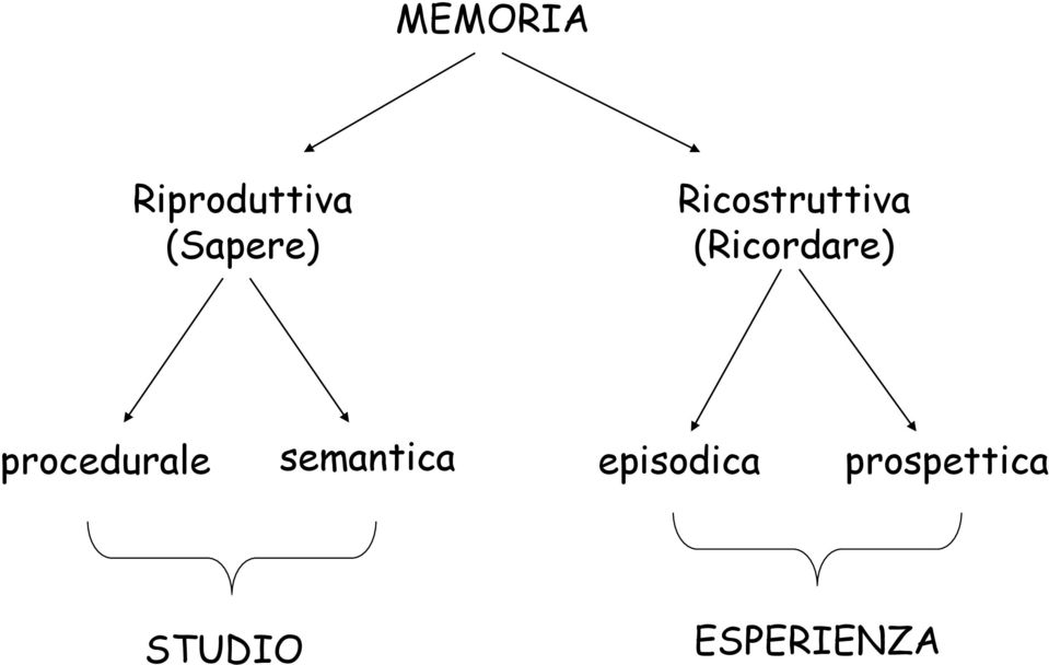 procedurale semantica