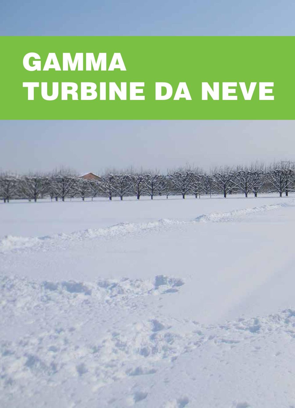 DA NEVE