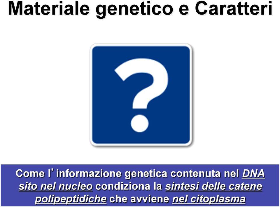 sito nel nucleo condiziona la sintesi