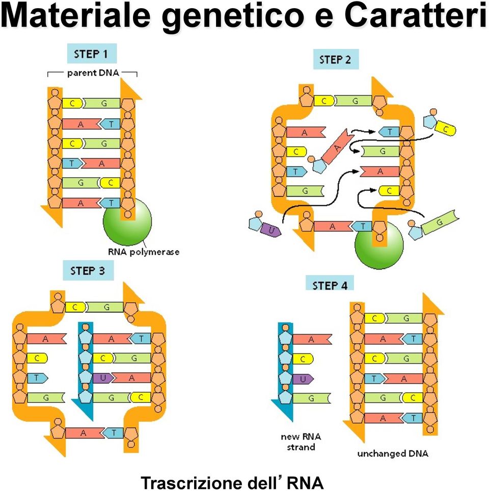 Caratteri