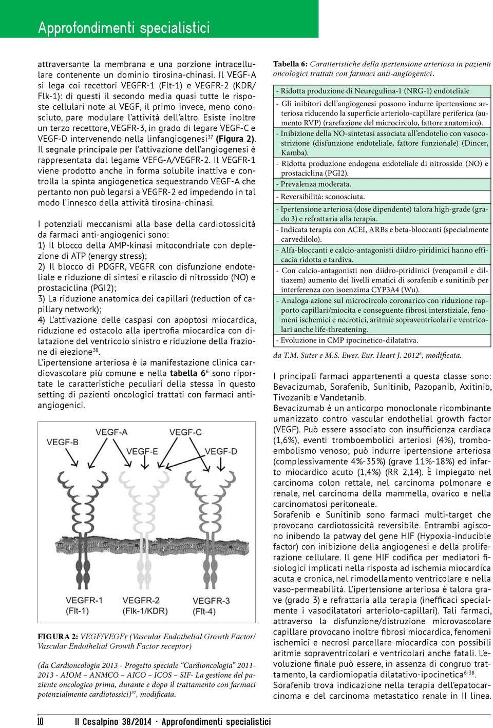 attività dell altro. Esiste inoltre un terzo recettore, VEGFR-3, in grado di legare VEGF-C e VEGF-D intervenendo nella linfangiogenesi 37 (Figura 2).