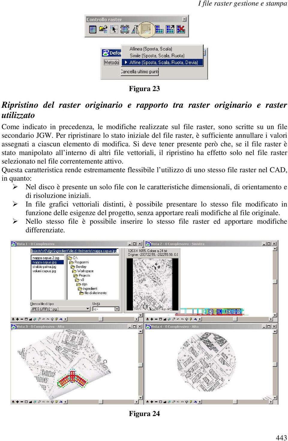 Si deve tener presente però che, se il file raster è stato manipolato all interno di altri file vettoriali, il ripristino ha effetto solo nel file raster selezionato nel file correntemente attivo.