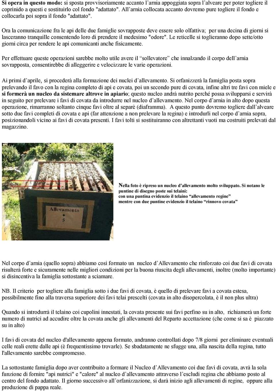 Ora la comunicazione fra le api delle due famiglie sovrapposte deve essere solo olfattiva; per una decina di giorni si lasceranno tranquille consentendo loro di prendere il medesimo "odore".