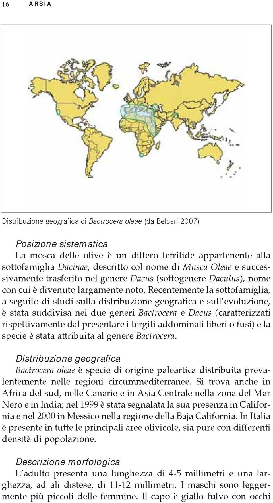 Recentemente la sottofamiglia, a seguito di studi sulla distribuzione geografica e sull evoluzione, è stata suddivisa nei due generi Bactrocera e Dacus (caratterizzati rispettivamente dal presentare