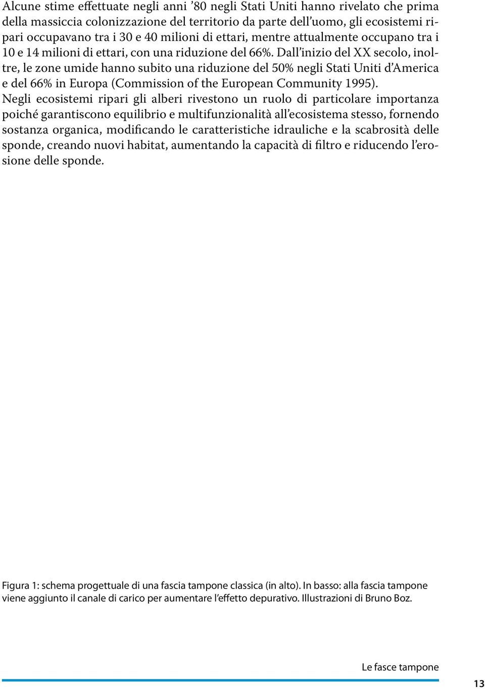 Dall inizio del XX secolo, inoltre, le zone umide hanno subito una riduzione del 50% negli Stati Uniti d America e del 66% in Europa (Commission of the European Community 1995).