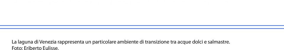 La laguna di Venezia rappresenta un particolare ambiente