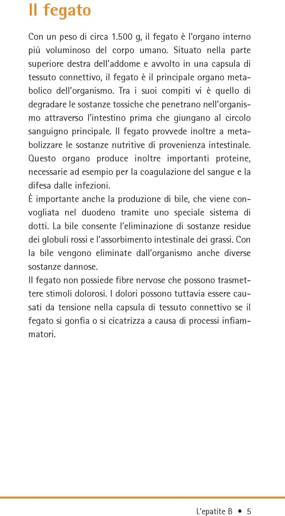 Tra i suoi compiti vi è quello di degradare le sostanze tossiche che penetrano nell organismo attraverso l intestino prima che giungano al circolo sanguigno principale.