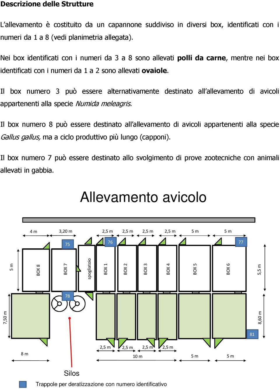 Il box numero 3 può essere alternativamente destinato all allevamento di avicoli appartenenti alla specie Numida meleagris.