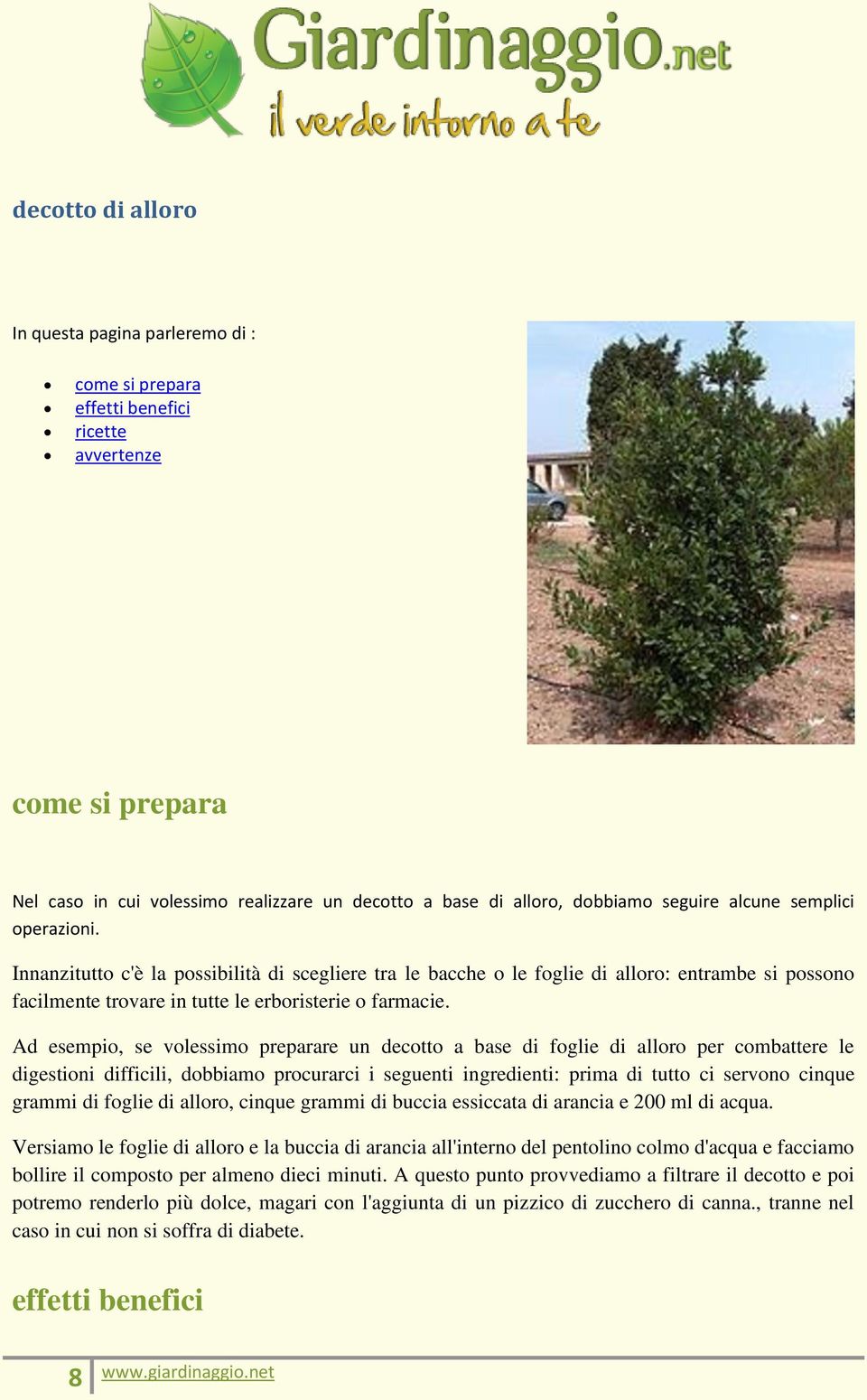 Ad esempio, se volessimo preparare un decotto a base di foglie di alloro per combattere le digestioni difficili, dobbiamo procurarci i seguenti ingredienti: prima di tutto ci servono cinque grammi di