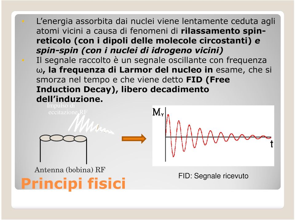 oscillante con frequenza ω, la frequenza di Larmor del nucleo in esame, che si smorza nel tempo e che viene detto FID (Free