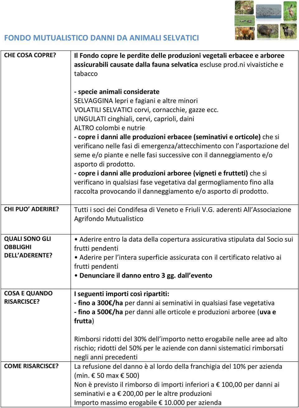 UNGULATI cinghiali, cervi, caprioli, daini ALTRO colombi e nutrie - copre i danni alle produzioni erbacee (seminativi e orticole) che si verificano nelle fasi di emergenza/attecchimento con l