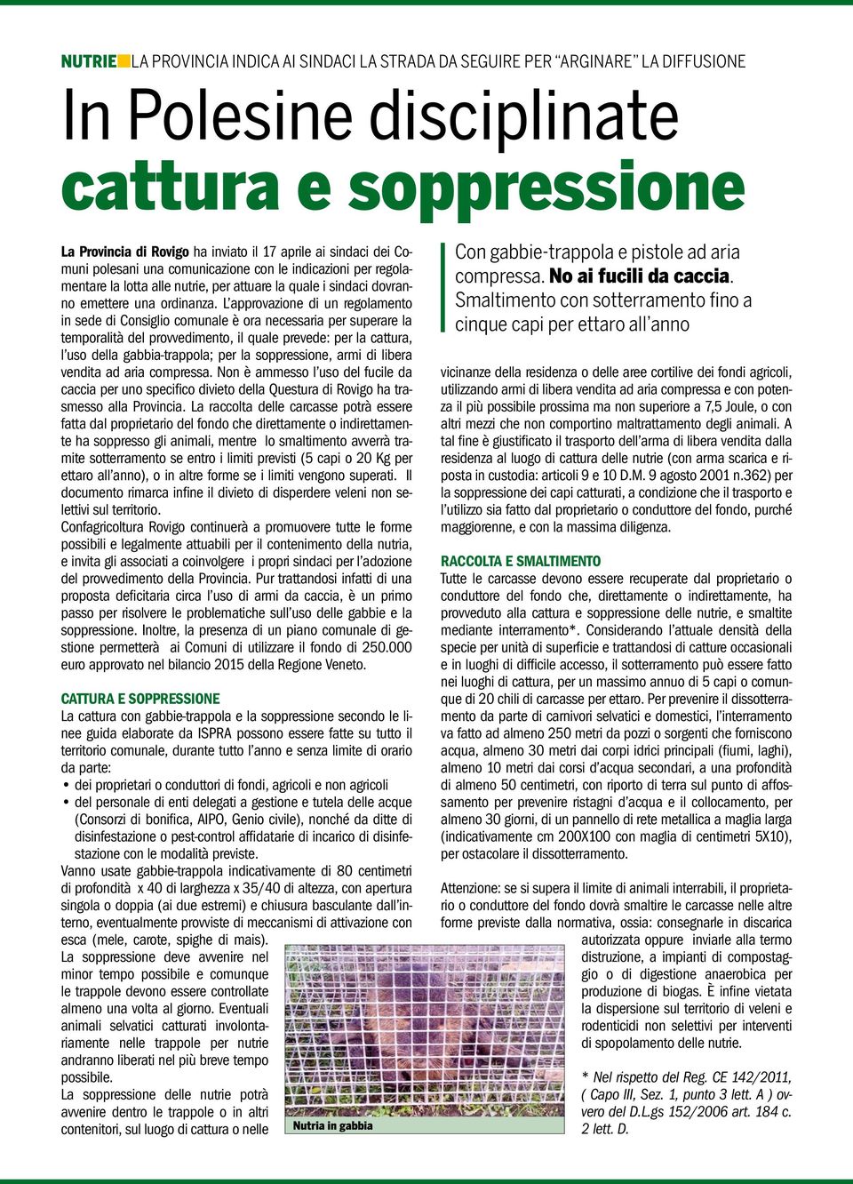 L approvazione di un regolamento in sede di Consiglio comunale è ora necessaria per superare la temporalità del provvedimento, il quale prevede: per la cattura, l uso della gabbia-trappola; per la