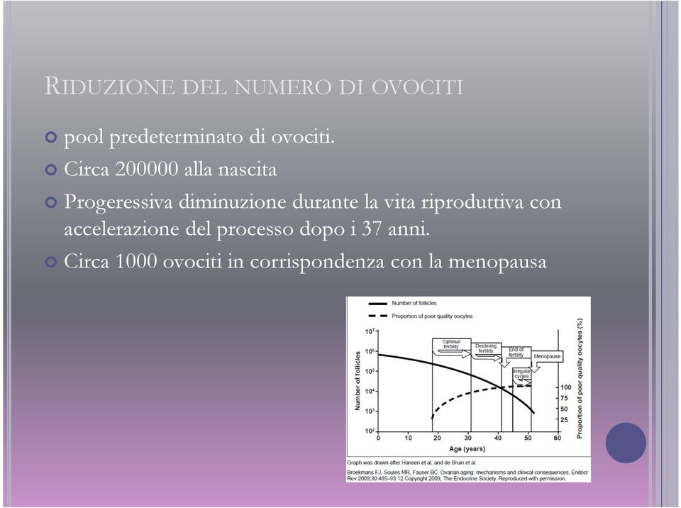 Circa 200000 alla nascita Progeressiva diminuzione durante