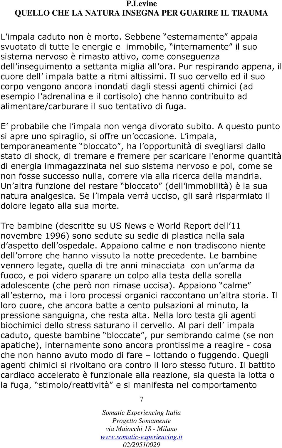 Pur respirando appena, il cuore dell impala batte a ritmi altissimi.