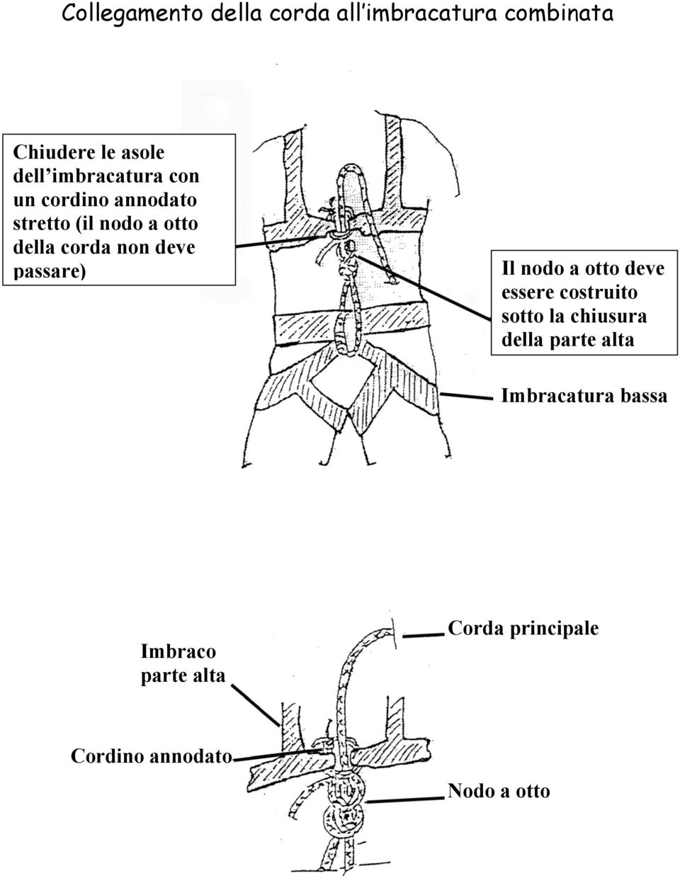 deve passare) Il nodo a otto deve essere costruito sotto la chiusura della