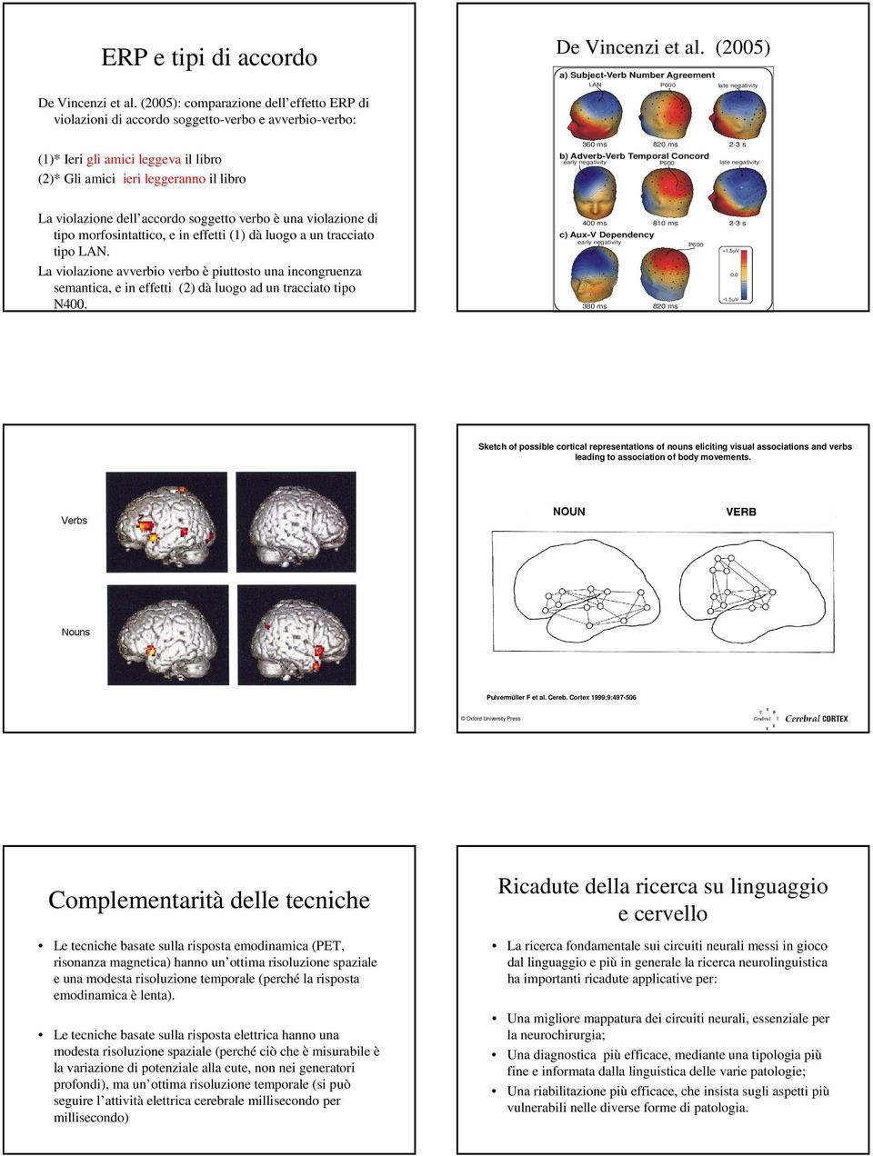 2-3 s late negativity La violazione dell accordo soggetto verbo è una violazione di tipo morfosintattico, e in effetti (1) dà luogo a un tracciato tipo LAN.