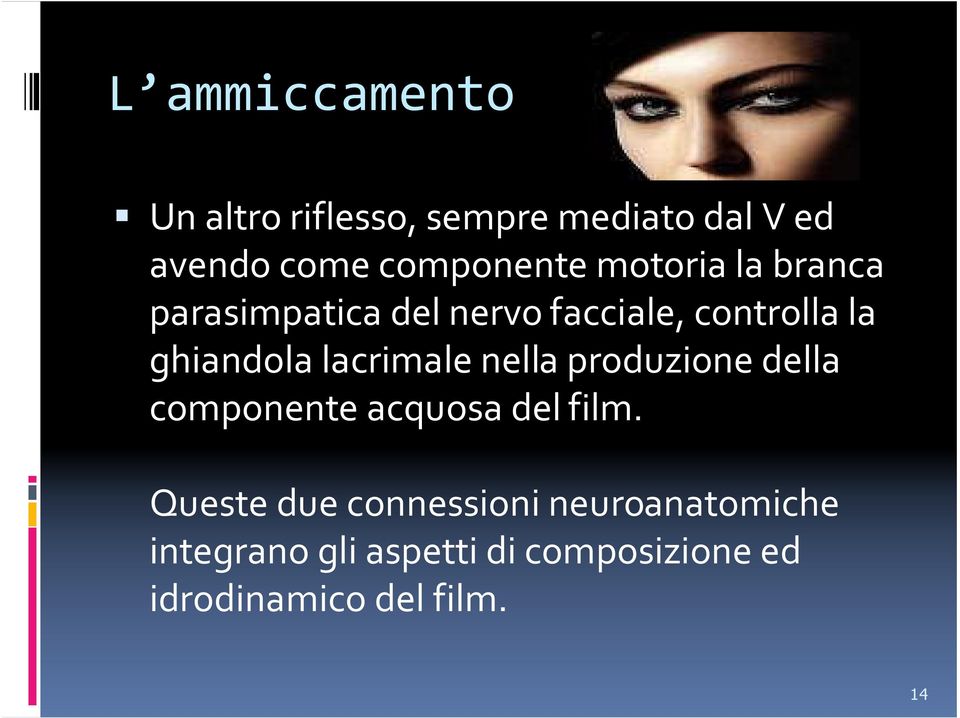 lacrimale nella produzione della componente acquosa del film.