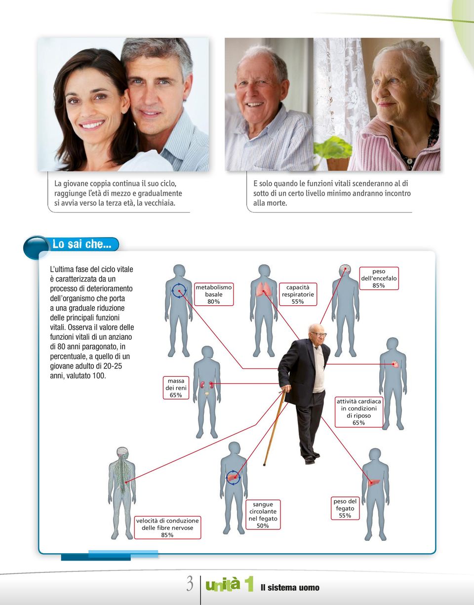 .. L ultima fase del ciclo vitale è caratterizzata da un processo di deterioramento dell organismo che porta a una graduale riduzione delle principali funzioni vitali.