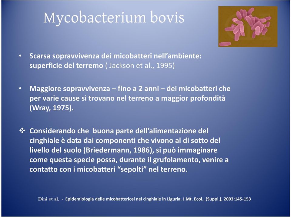 Considerando che buona parte dell alimentazione del cinghiale è data dai componenti che vivono al di sotto del livello del suolo (Briedermann, 1986), si può