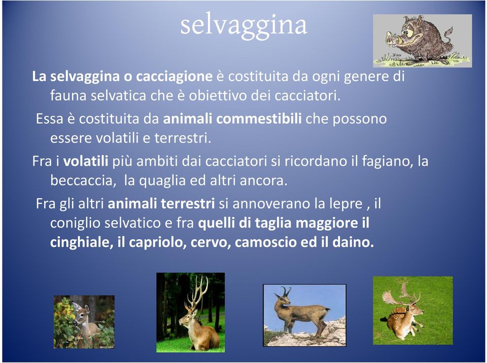 Fra i volatili più ambiti dai cacciatori si ricordano il fagiano, la beccaccia, la quaglia ed altri ancora.