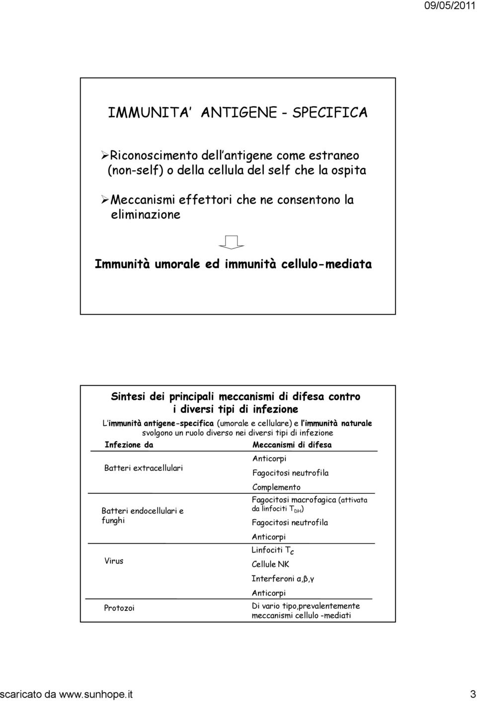 diverso nei diversi tipi di infezione Infezione da Batteri extracellulari Batteri endocellulari e funghi Meccanismi di difesa Anticorpi Fagocitosi neutrofila Complemento Fagocitosi macrofagica